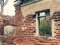 Abandoned bricken house without roof, with holes instead windows and with trees inside Royalty Free Stock Photo