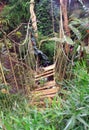 Abandoned bridge in the jungle