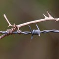 The abandoned broken barbed wire