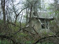 An abandoned broken house in the woods. The paint is flaking and it gives a lonely feeling