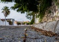 Abandoned and broken road in mijas, with leafy trees and houses at the end