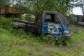 Abandoned broken trucks in the middle of nature covered in wild bushes