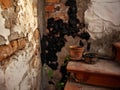 abandoned building, decaying wall, textures, rustic interior Royalty Free Stock Photo