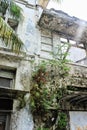 Abandoned building detail, moldy exteriour wall and cracked, rag