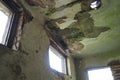 Abandoned building interior. A shabby desolate room with empty broken windows, mold, dust and cobwebs on the walls. The