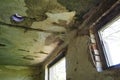 Abandoned building interior. A shabby desolate room with empty broken windows, mold, dust and cobwebs on the walls. The