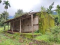 Abandoned building wooden pieces green bushes