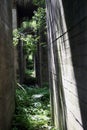 Abandoned bunkers