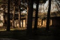 Abandoned burned old house in winter at sunset in forest. Abandoned hunting lodge in the warm rays of the sun in the middle of the Royalty Free Stock Photo