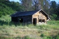 Abandoned Cabin in the Oregon Wilderness