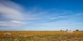 Abandoned camper in California Golden Orange Poppy field during superbloom spring under blue skyin southern California high desert Royalty Free Stock Photo