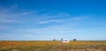 Abandoned camper in California Golden Orange Poppy field during superbloom spring in southern California high desert Royalty Free Stock Photo