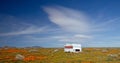Abandoned camper in California Golden Orange Poppy field during superbloom spring in southern California high desert Royalty Free Stock Photo