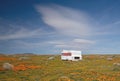 Abandoned camper trailer in California Golden Orange Poppy field during superbloom spring in southern California high desert Royalty Free Stock Photo