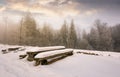 Abandoned camping place in winter forest