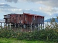Old Cannery on Columbia River 5