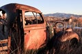 Abandoned car in field Royalty Free Stock Photo