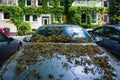 Abandoned car in Hamburg