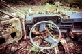 Abandoned car in the jungle Royalty Free Stock Photo