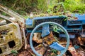 Abandoned car in the jungle Royalty Free Stock Photo