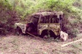 Abandoned car in the jungle Royalty Free Stock Photo