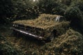 Abandoned car in the jungle with yellow flowers on the ground Royalty Free Stock Photo