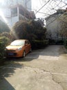 Abandoned car and a kitten by the door of the villa