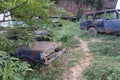 Abandoned car in the middle of the jungle, chittagong Bangladesh