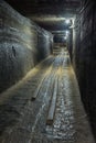 Abandoned cart railway in a salt mine tunnel Royalty Free Stock Photo