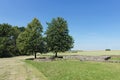 Abandoned castle arnsburg at muschelheim in the wetterau hesse germany Royalty Free Stock Photo