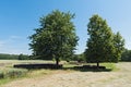 Abandoned castle arnsburg at muschelheim in the wetterau hesse germany Royalty Free Stock Photo