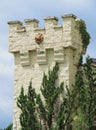 Abandoned castle battlement with lion`s head and vines