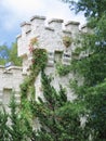 Abandoned castle battlement with vegetation Royalty Free Stock Photo