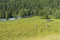 Abandoned cattle-ranch at the riverside. Altai Mountains, Russia Royalty Free Stock Photo