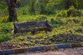 Abandoned cement bench covered with moss on the footpath at Indian Botanic Garden of Shibpur, Howrah near Kolkata. Soft focus Royalty Free Stock Photo