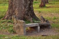 Abandoned cement bench covered with moss on the footpath at Indian Botanic Garden of Shibpur, Howrah near Kolkata. Soft focus Royalty Free Stock Photo