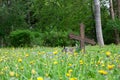 Abandoned cemetery