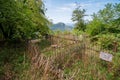 Abandoned cemetery