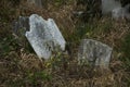 Abandoned cemetery from the 1800s