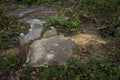 Abandoned cemetery from the 1800s