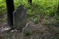 Abandoned cemetery from the 1800s