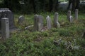 Abandoned cemetery from the 1800s