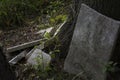 Abandoned cemetery from the 1800s