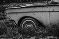 Abandoned Classic Car