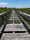 Abandoned coastal path in New Smyrna Beach