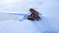 Abandoned and collapsed ice fishing shack Royalty Free Stock Photo