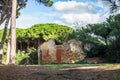 An abandoned collapsed old house in the pine trees forest in Tuscany near the Baratti gulf - 1