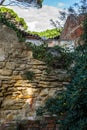 An abandoned collapsed old house in the pine trees forest in Tuscany near the Baratti gulf - 3