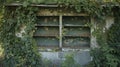The abandoned concession stand is overtaken by vines and weeds its once tempting treats now rotted and molding on the