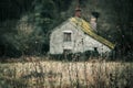 Abandoned cottage in a muted winter landscape Royalty Free Stock Photo